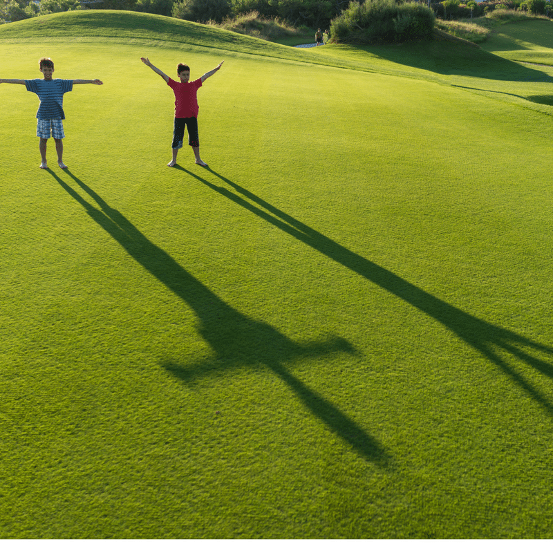 The 3 Pillars Of Healthy Development