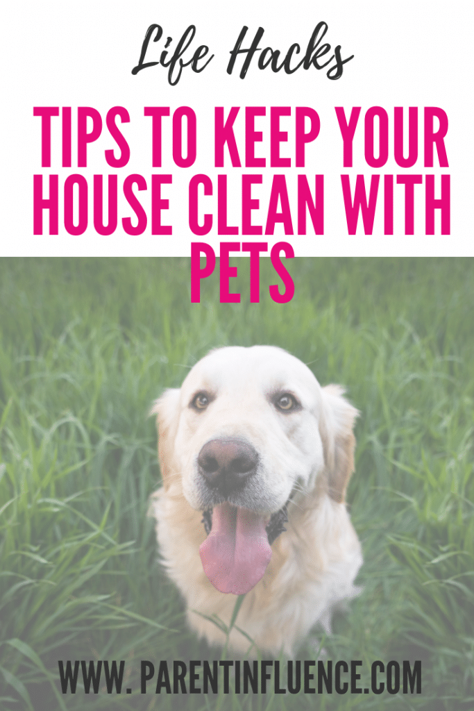 Tips to Keep Your House Clean with Pets