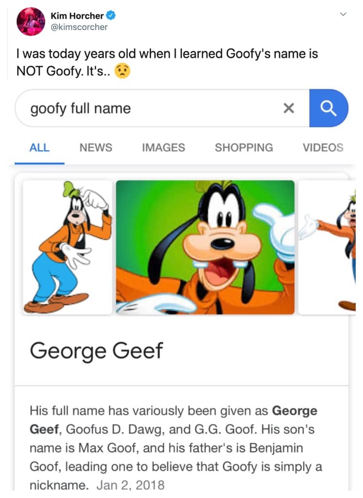 Goofy real online name