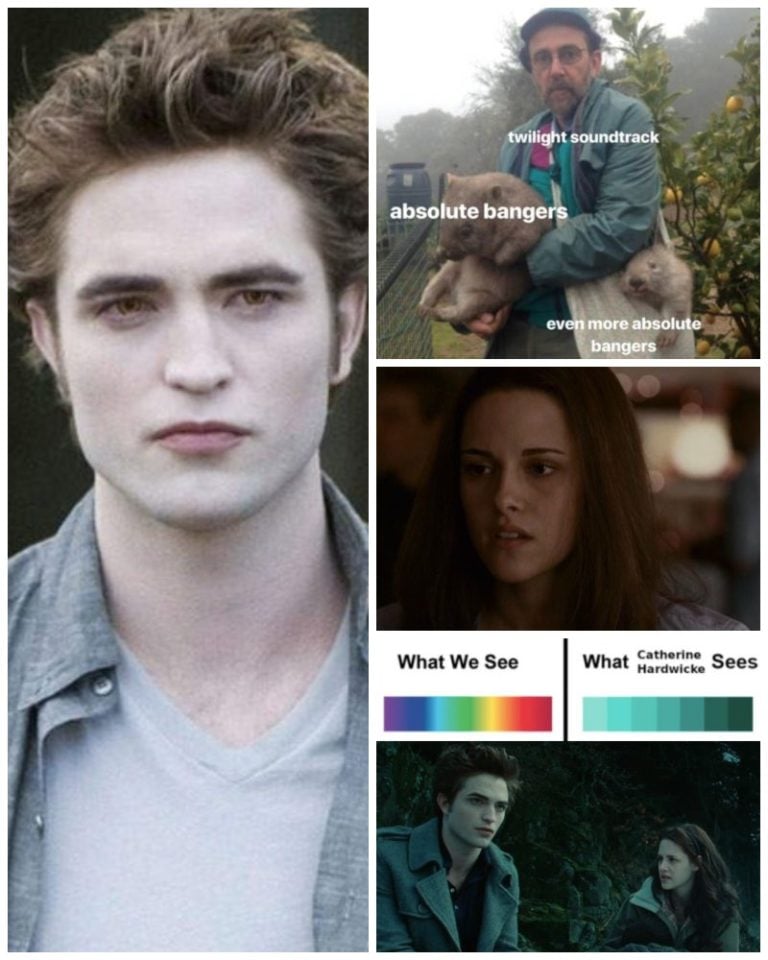 50 Twilight Memes that Are Far Superior to the Movies