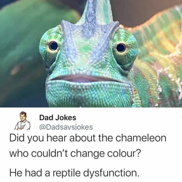 These Boomer Dad Jokes Are Better Than Any Comedy Special – Page 53