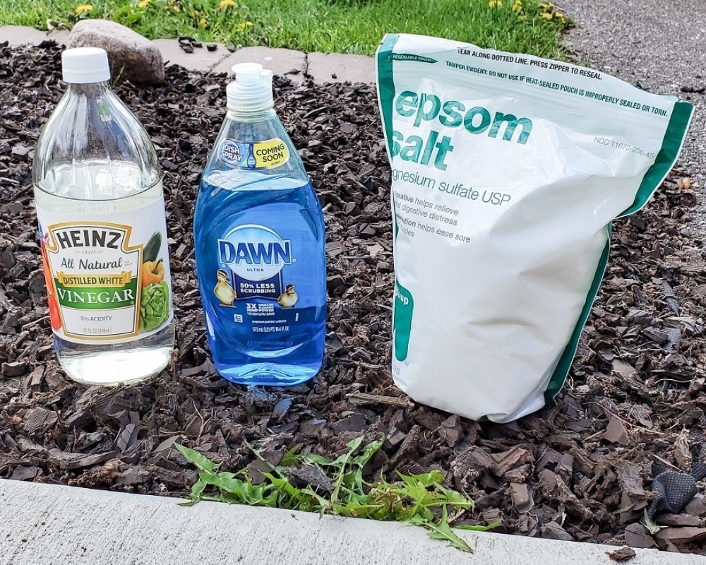 25+ Things You Didn't Know You Could Do With Dawn Dish Soap – Page 9